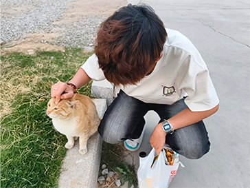 照片