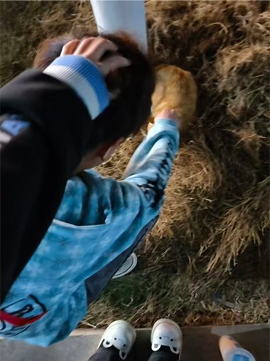 照片